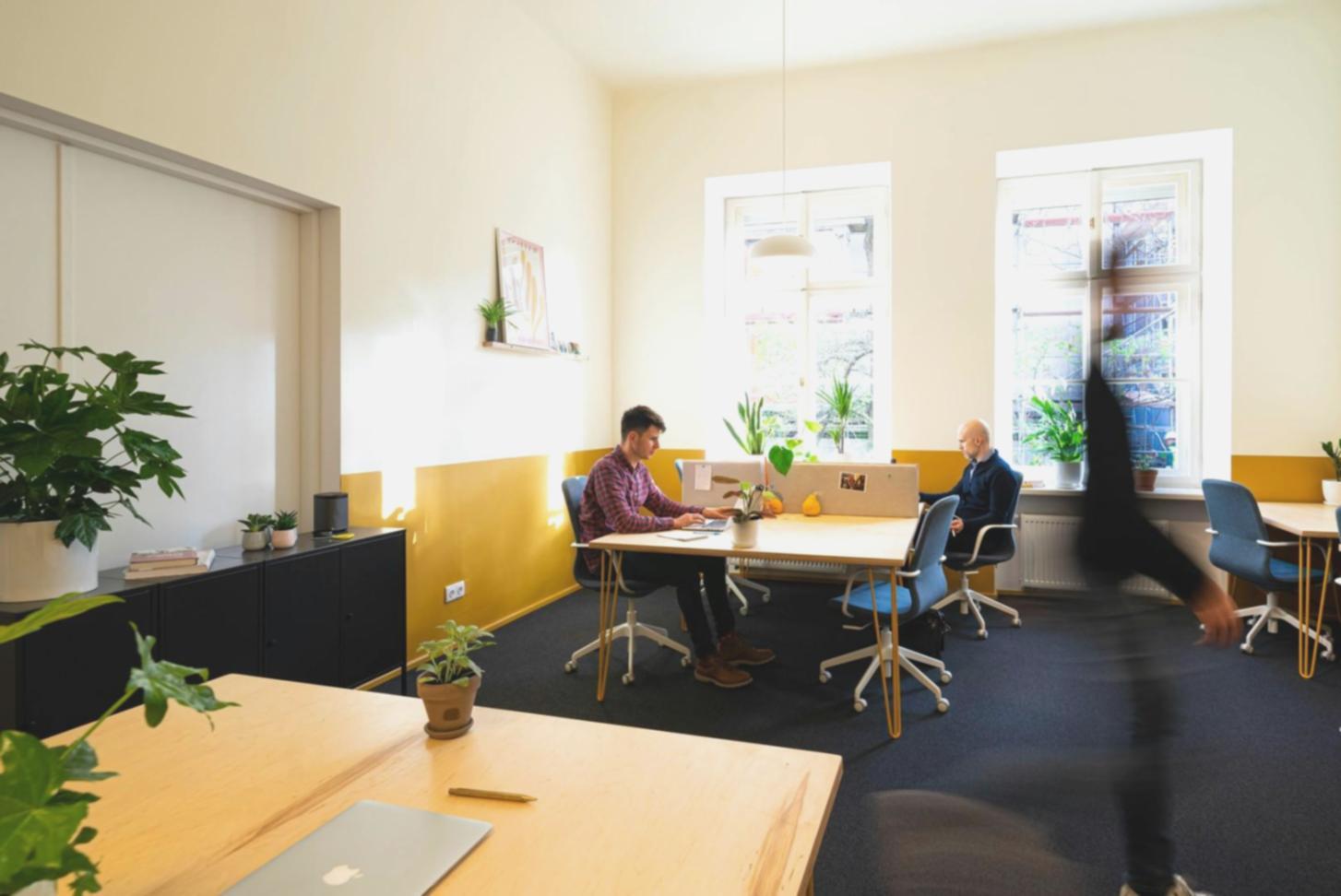 Professionelle Finanzschulung und Weiterbildung